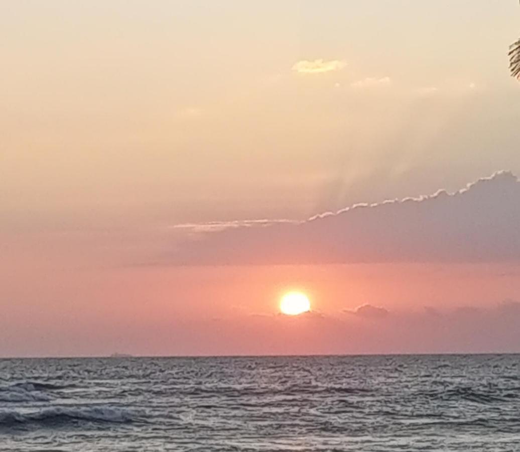 فندق Rainbow Surf Beach كوغولا المظهر الخارجي الصورة