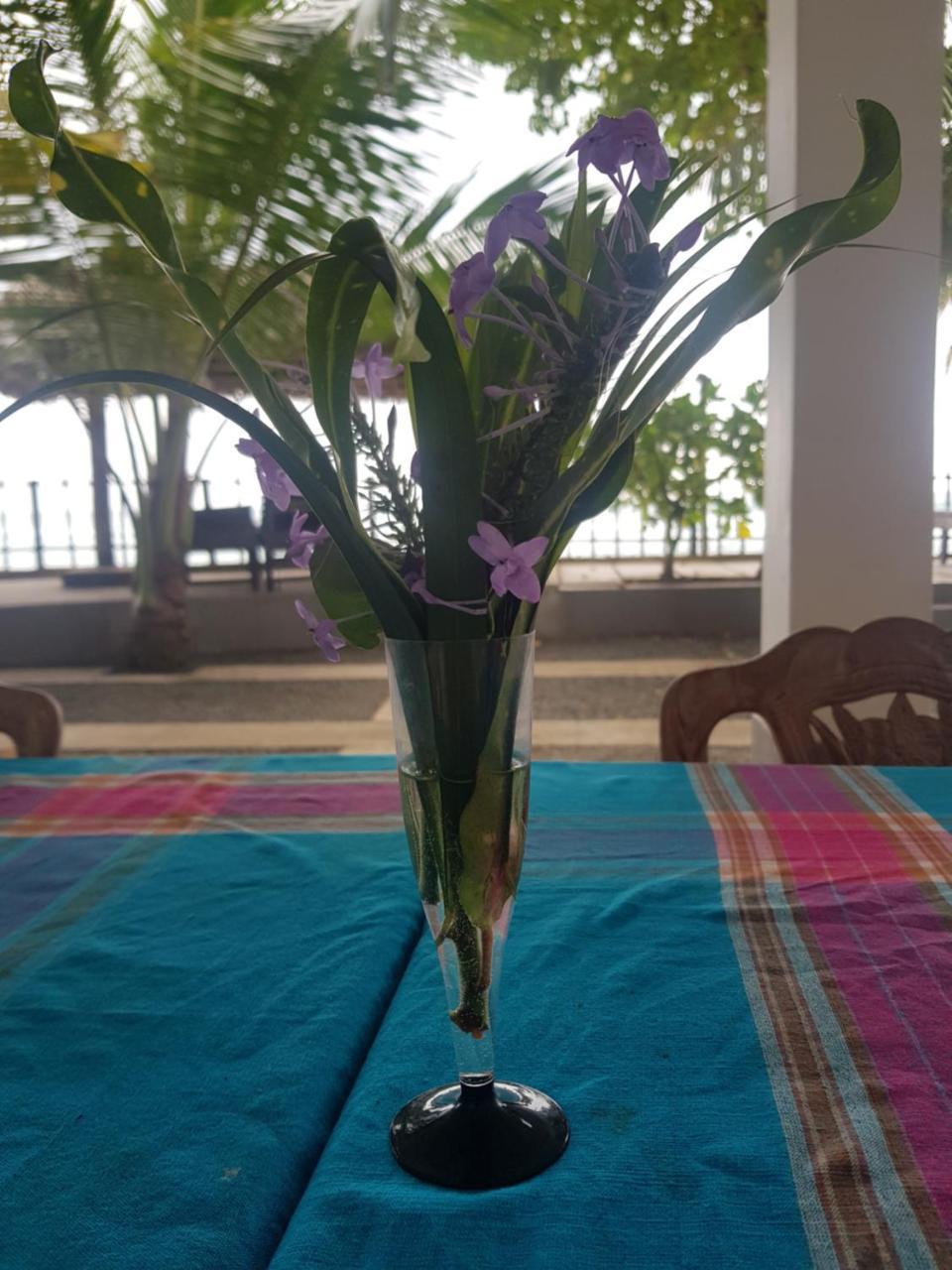 فندق Rainbow Surf Beach كوغولا المظهر الخارجي الصورة